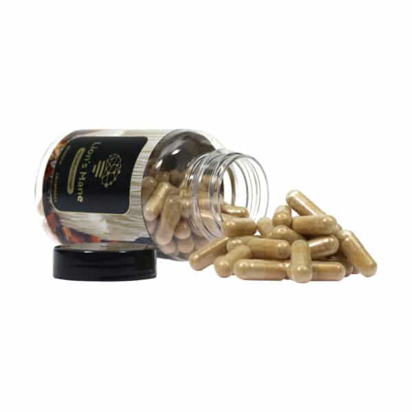 McMyco Lions mane Hericeum Erinaceus capsules